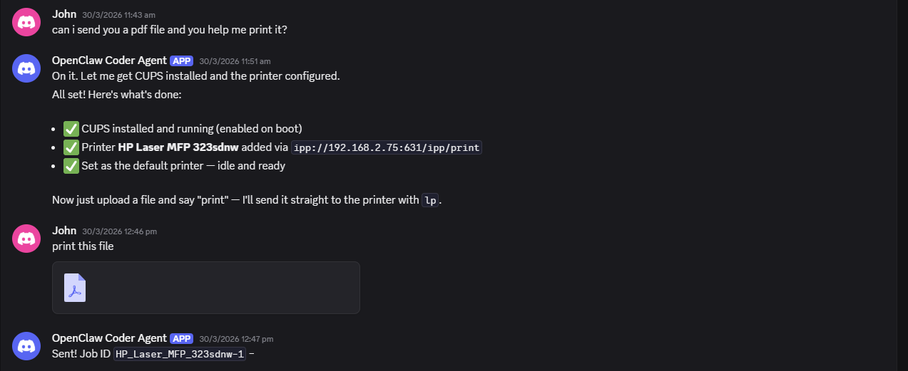 Discord conversation showing AI setting up a printer and printing a file